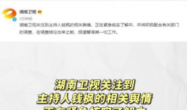 娱乐圈吃瓜动态视频下载,揭秘明星幕后故事，视频下载带你一探究竟